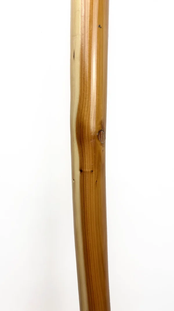 Taxus longbow met nokken van koeienhoorn - Afbeelding 4